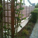 Wood Plastic Composite Outdoor Fence